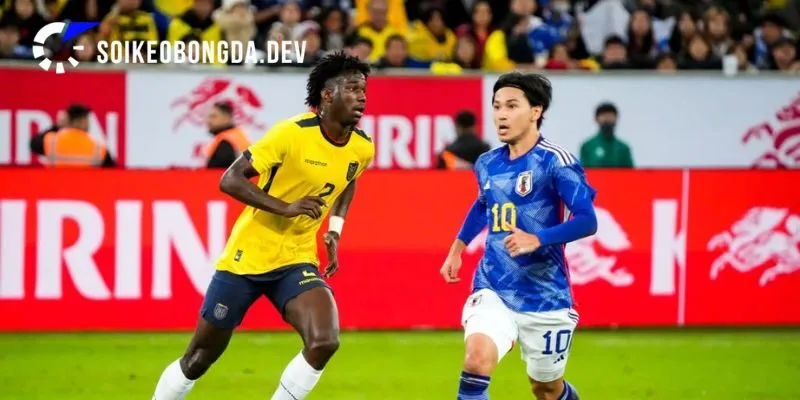 Đôi nét về phong độ thực tại của Nhật Bản vs Ecuador